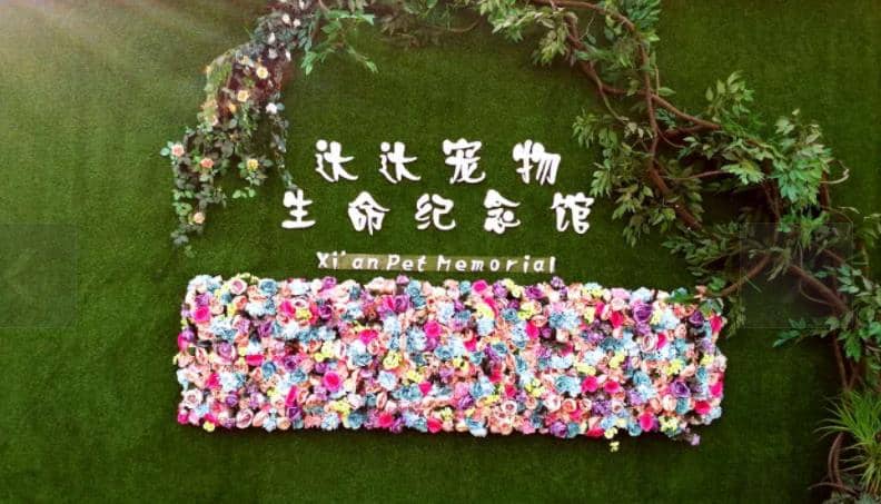 西安寵物墓地價格？西安寵物墓地在哪里？