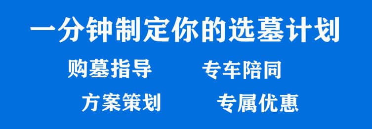 購墓指導(dǎo)、方案策劃