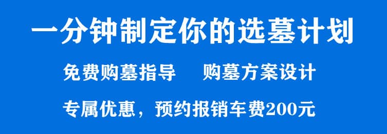 購墓指導(dǎo)、方案策劃