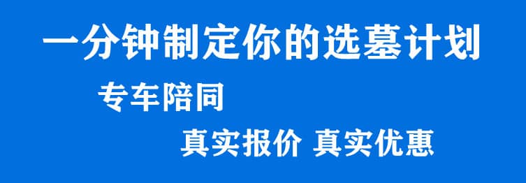 購墓指導(dǎo)、方案策劃