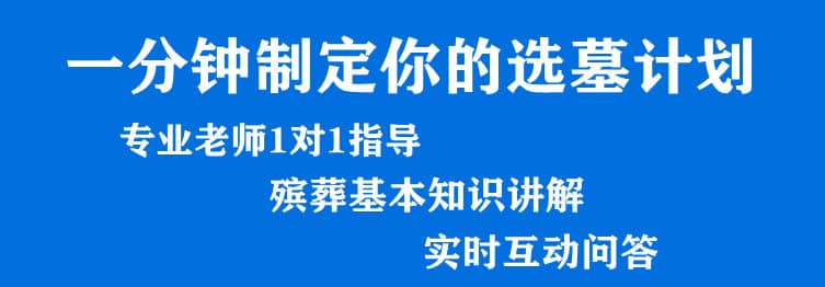 購墓指導(dǎo)、方案策劃