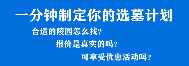 購墓指導(dǎo)、方案策劃