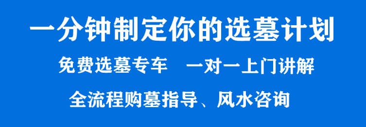 購墓指導(dǎo)、方案策劃