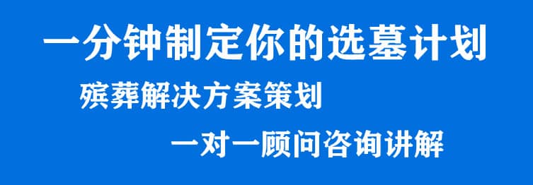 購墓指導(dǎo)、方案策劃