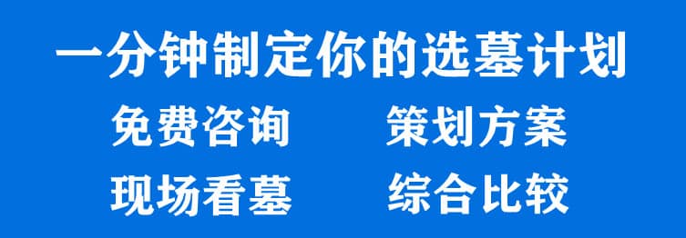 購墓指導(dǎo)、方案策劃