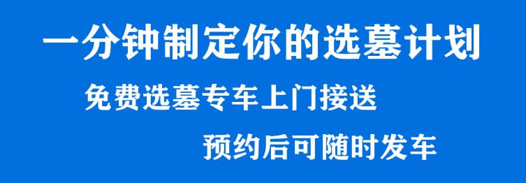 購墓指導(dǎo)、方案策劃