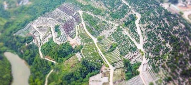 西安壽陽山公墓風(fēng)水極佳 價(jià)格實(shí)惠