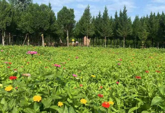 西安市奉正塬殯儀館改名前是什么名稱？