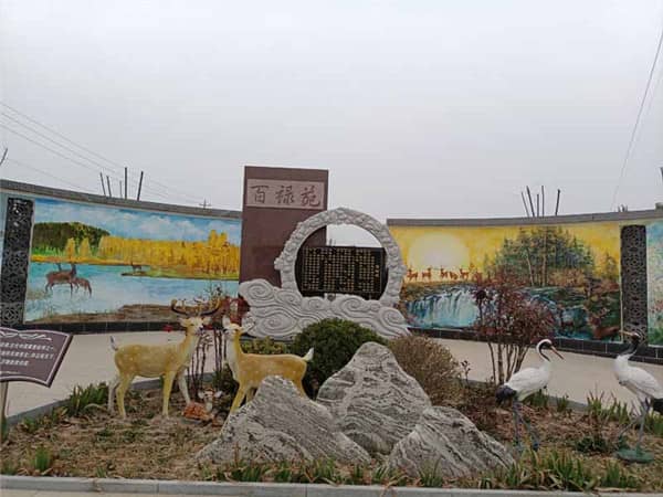 閻良漢皇樹葬墓園在推廣生態(tài)葬法方面有哪些舉措？