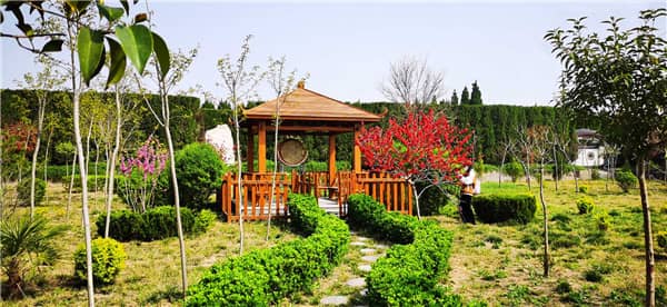 西安閻良漢皇樹葬骨灰公墓在殯葬服務(wù)上有哪些創(chuàng)新和特色？