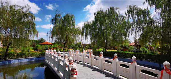 閻良漢皇樹(shù)葬骨灰公墓推廣生態(tài)樹(shù)葬的意義何在，對(duì)社會(huì)產(chǎn)生了哪些積極影響？