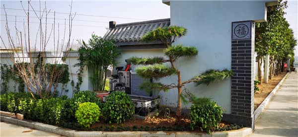 良漢皇樹葬墓園在整體布局上有何獨(dú)特之處？
