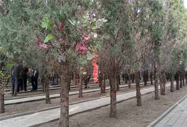為什么九龍山公墓和漢皇樹(shù)葬墓園在西安市民中有較好的口碑？