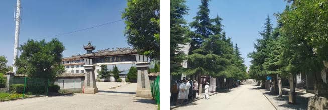 西安市西郊鎬京骨灰墓園提供的墓型有哪些種類和檔次？