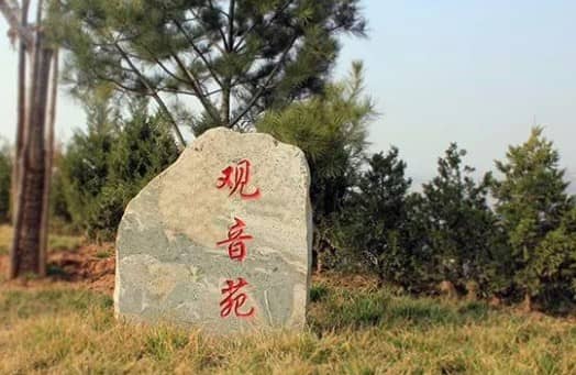 前往西安壽陽(yáng)山公墓，乘客應(yīng)該如何選擇合適的公交線路，以確保出行的便捷和高效？