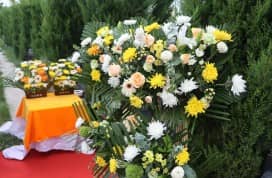 西安壽陽(yáng)山墓園的環(huán)境如何？