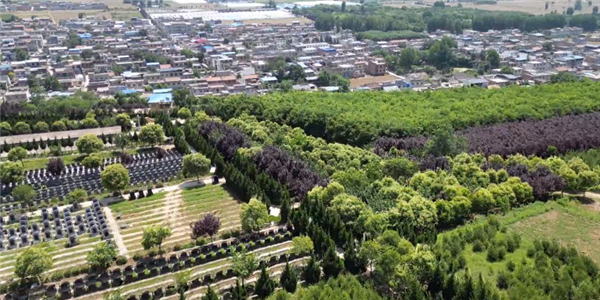 前往西安壽陽(yáng)山公墓，除了公交車之外還有哪些便捷的交通方式？