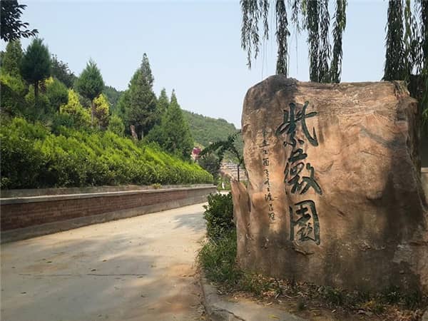 西安壽陽山墓園所在的砲里塬地區(qū)有哪些特色或文化背景？