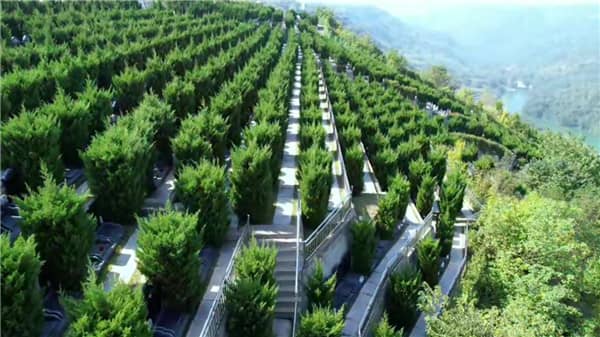 西安壽陽山墓園的花壇葬區(qū)有何特色，給訪客帶來了哪些視覺和心靈上的享受？