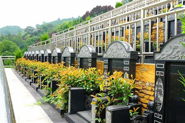 在壽陽山墓園，如果墓穴周圍的綠化出現(xiàn)了病蟲或枯死等問題，應(yīng)該如何處理？