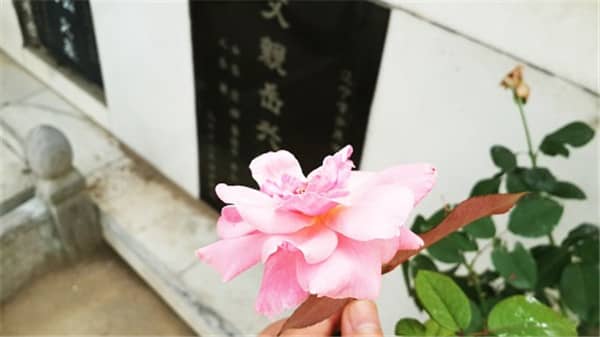 西安壽陽山墓園的安葬流程是怎樣的？有哪些關(guān)鍵環(huán)節(jié)需要注意？