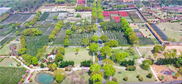 西安壽陽山墓園的自然景觀有哪些獨特之處，如何影響人們的感受？