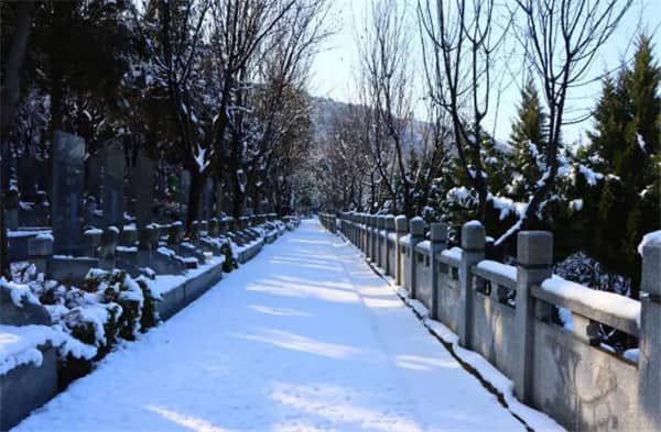西安壽陽山墓園如何通過綠化工作，營造出莊嚴而肅穆的祭掃氛圍？