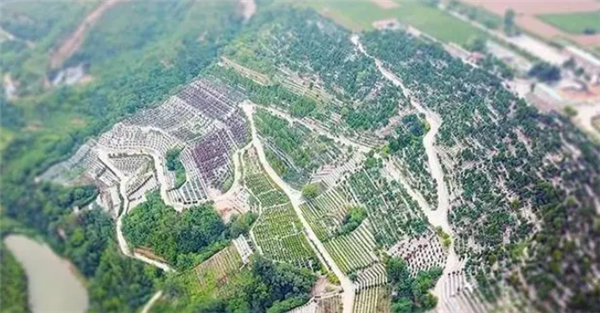壽陽山墓園如何提供便捷的園區(qū)參觀服務(wù)？
