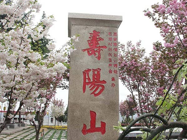 如何前往西安壽陽山墓園，是否有免費班車服務(wù)？