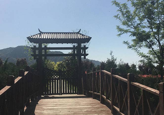 在長安慈恩園，如果我想要預訂墓地、安排骨灰安放或進行安葬，應該如何操作？