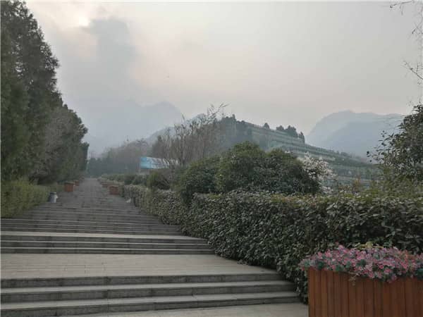 九龍山公墓是否提供預(yù)約參觀(guān)服務(wù)，如何預(yù)約？