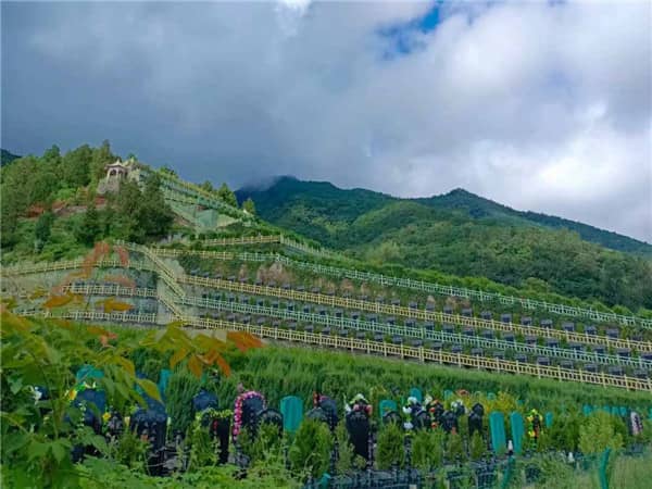 西安九龍山公墓有哪些區(qū)域供市民選擇安葬？