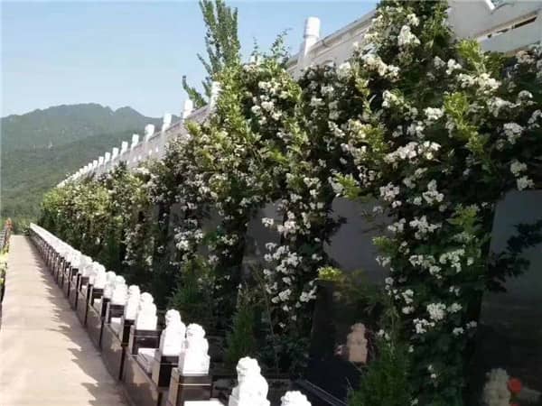 九龍山公墓的建筑風(fēng)格如何？