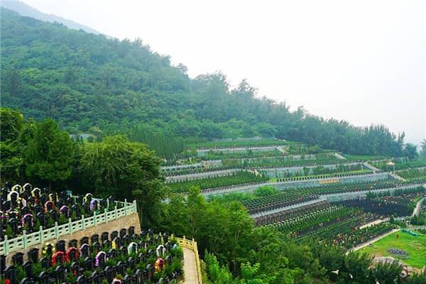 西安市戶縣九龍山墓園預(yù)約，安心便捷