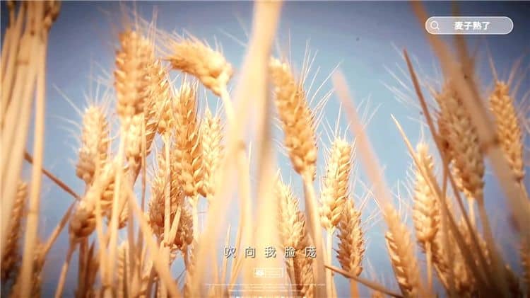西安霸陵墓園有哪些顯著的特點(diǎn)？