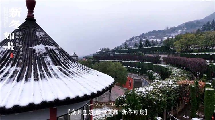 西安霸陵墓園新區(qū)碑型多樣，助您輕松挑選