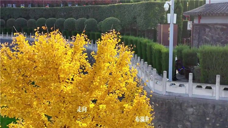 西安霸陵墓園未來有哪些發(fā)展規(guī)劃和愿景？