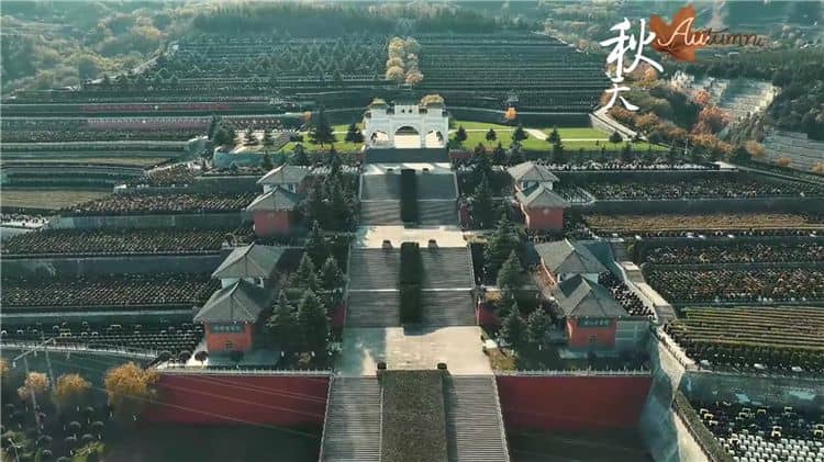 霸陵墓園都提供哪些生態(tài)葬方式？