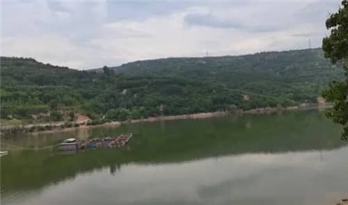 高橋墓園的立碑選項有哪些區(qū)域，各自有何特色？