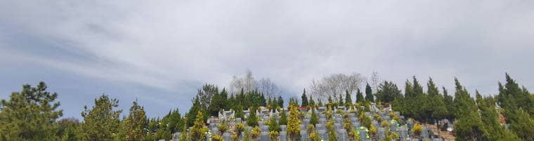 清明和寒食有什么區(qū)別？為什么說“寒食不燒紙，清明不上墳”？