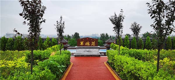 草坪葬:靜謐綠意中的生命歸宿