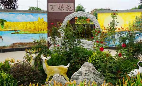 壽衣不能放在餐廳的三個(gè)地方？禁忌解析與注意事項(xiàng)