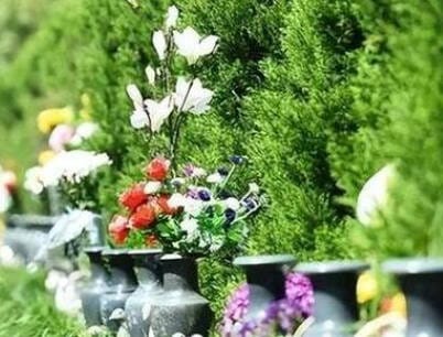 坐西北向東南的墳?zāi)雇l？這一朝向有何風水寓意？