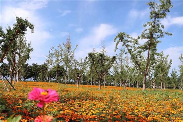 西安公墓路況怎么樣了現(xiàn)在，墓地選購必讀