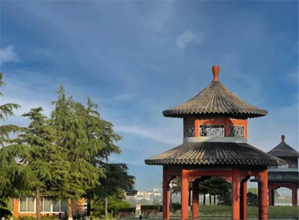 如果西安陵園墓地使用年限到期后家屬未能及時續(xù)費，會面臨哪些后果？