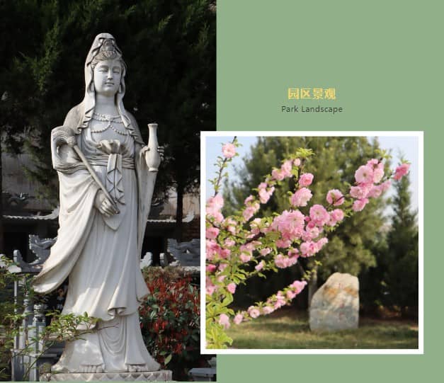 西安墓園的類(lèi)型，限時(shí)搶購(gòu)公墓墓地